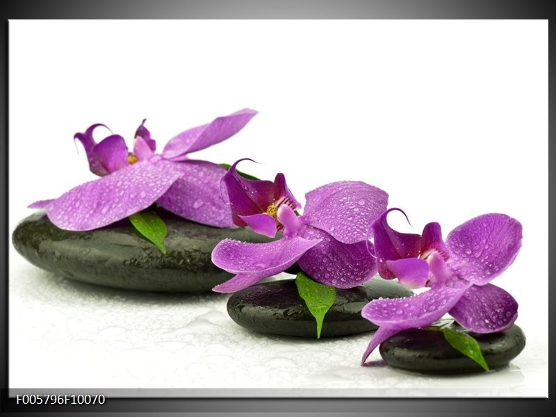 Foto canvas schilderij Orchidee | Paars, Wit