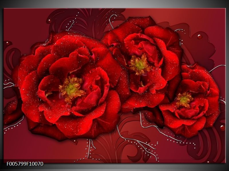 Foto canvas schilderij Bloem | Rood