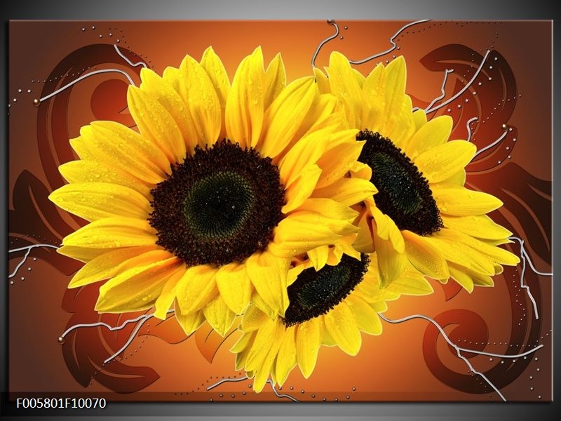Foto canvas schilderij Zonnebloem | Geel, Bruin
