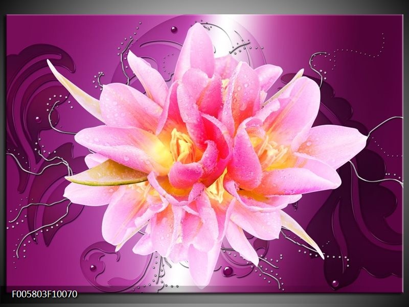 Foto canvas schilderij Modern | Roze, Paars