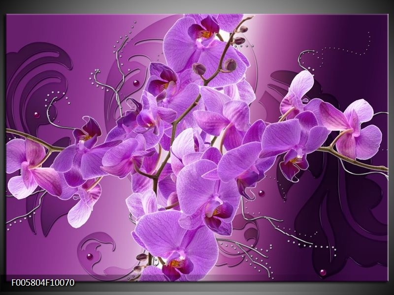 Glas schilderij Orchidee | Paars
