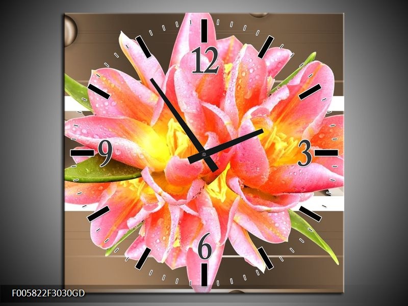 Wandklok op Glas Modern | Kleur: Bruin, Roze | F005822CGD