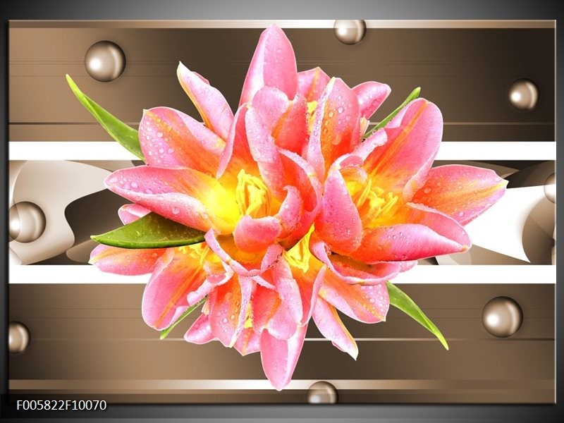 Glas schilderij Modern | Bruin, Roze