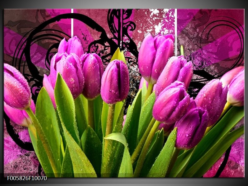 Glas schilderij Tulpen | Paars, Groen, Roze