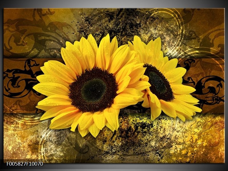 Foto canvas schilderij Zonnebloem | Geel, Bruin, Goud