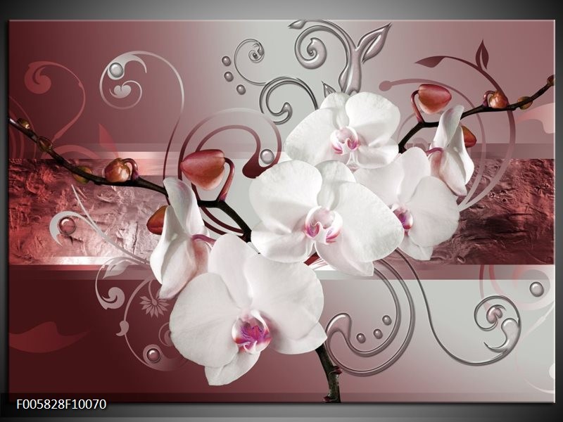 Foto canvas schilderij Orchidee | Wit, Grijs