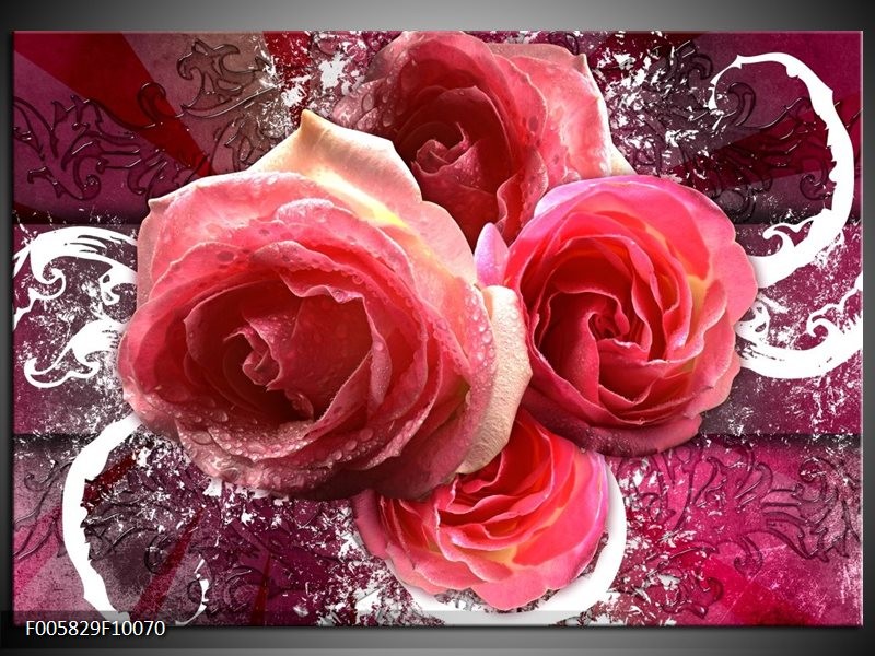 Foto canvas schilderij Roos | Roze, Paars, Wit