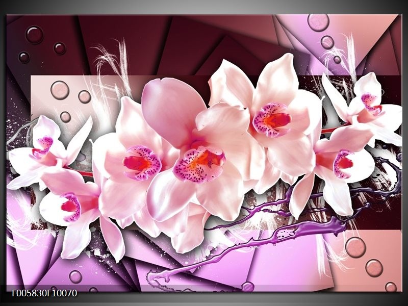 Foto canvas schilderij Orchidee | Paars, Roze, Wit