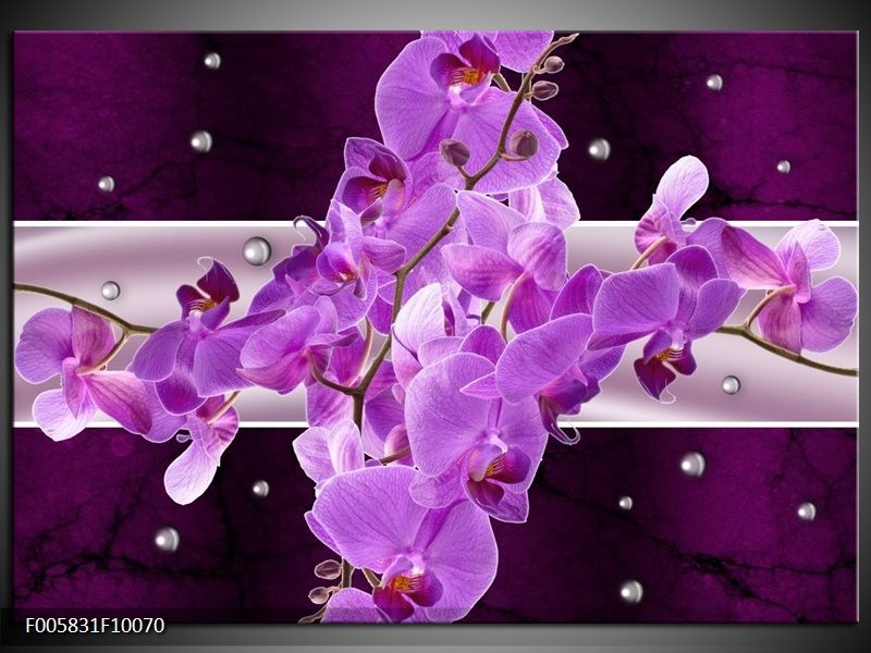 Foto canvas schilderij Orchidee | Paars