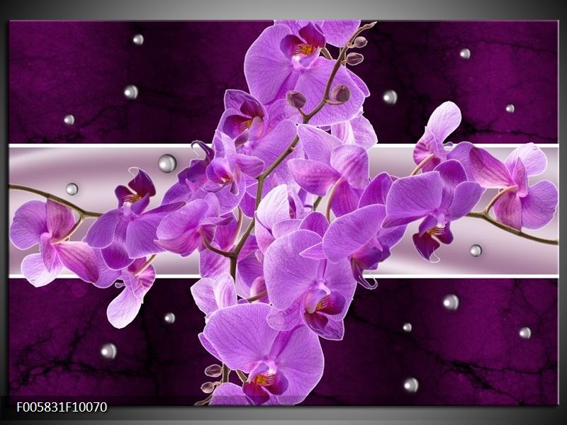 Glas schilderij Orchidee | Paars