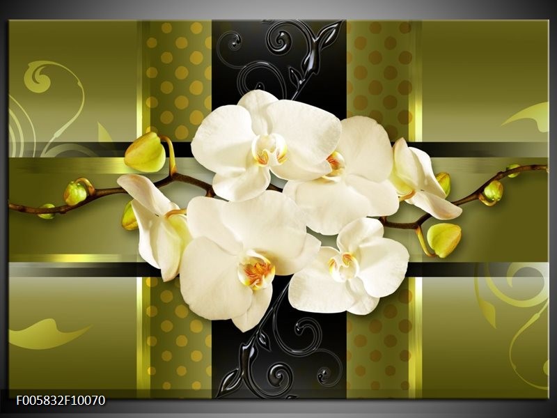 Foto canvas schilderij Orchidee | Groen