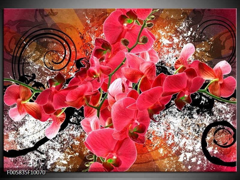 Glas schilderij Orchidee | Roze, Rood,