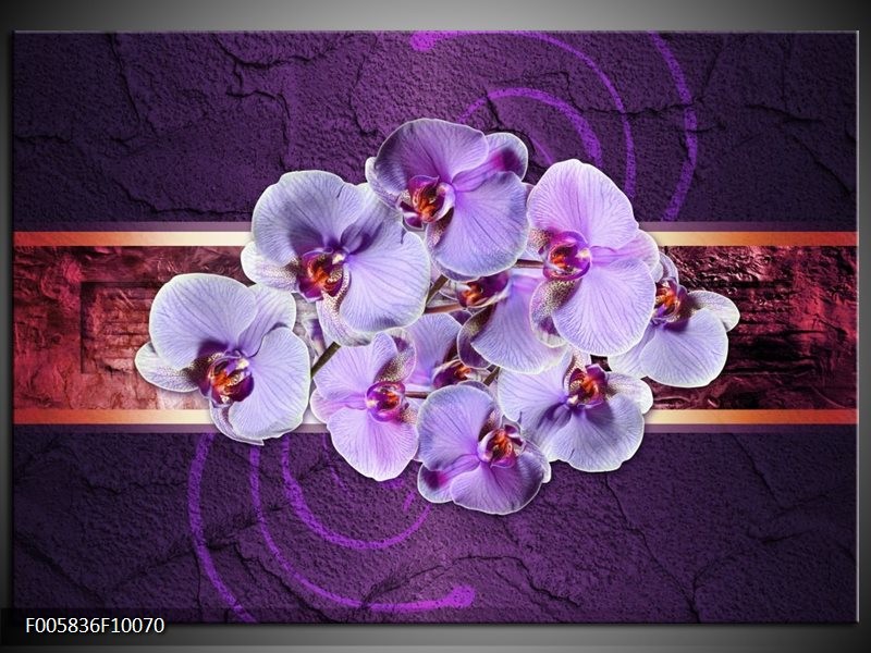 Foto canvas schilderij Orchidee | Paars