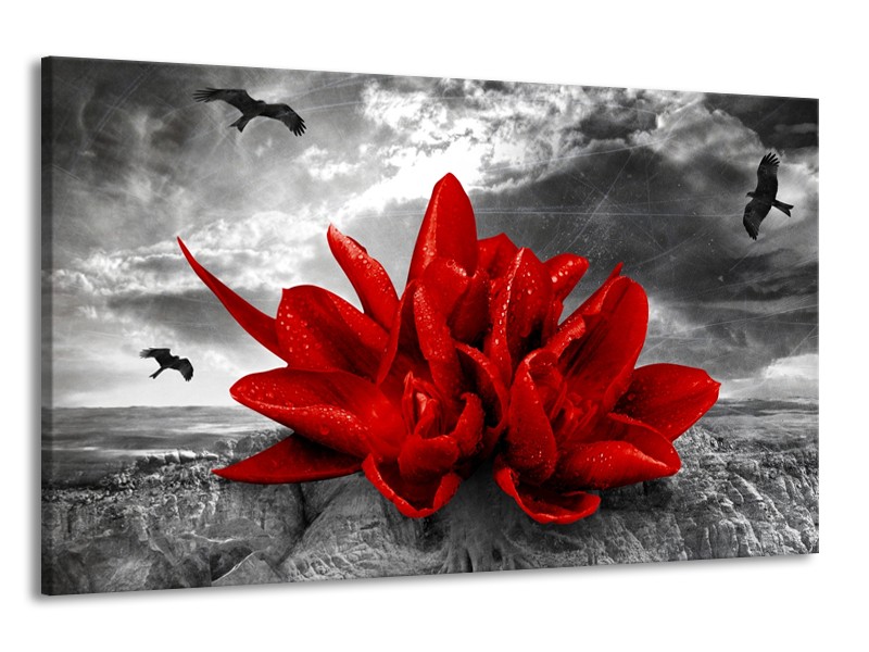 Glas schilderij Lelie | Rood, Grijs | 120x70cm 1Luik