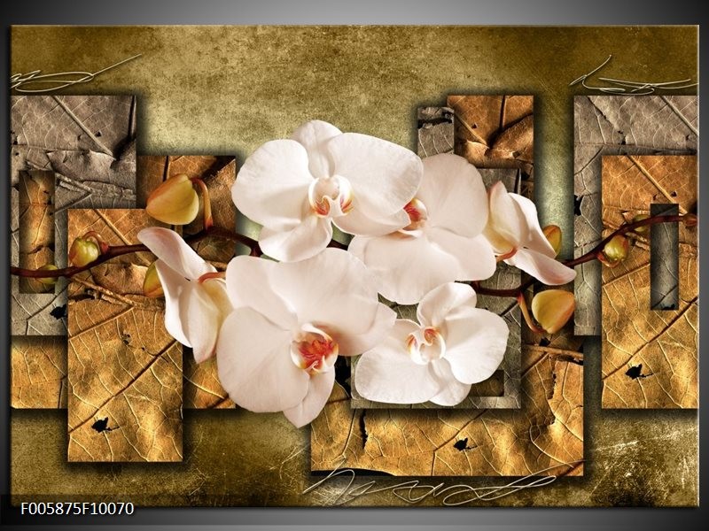 Glas schilderij Orchidee | Bruin, Crème