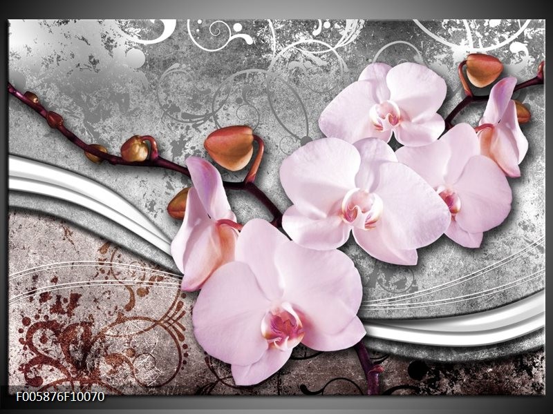 Foto canvas schilderij Orchidee | Roze, Grijs