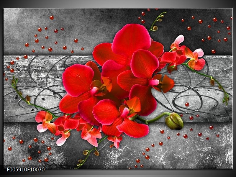 Foto canvas schilderij Orchidee | Rood, Grijs
