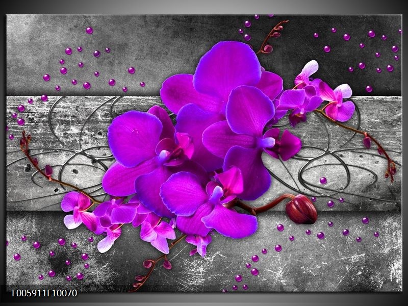 Foto canvas schilderij Orchidee | Paars, Grijs
