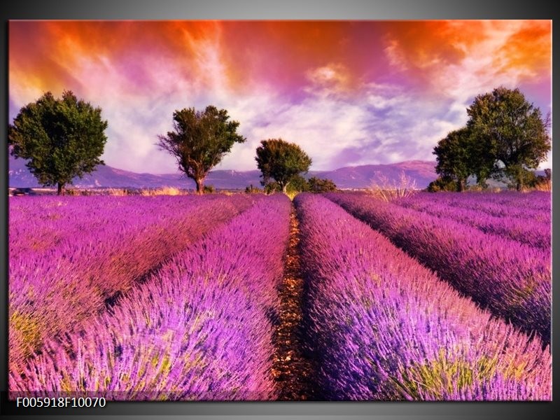 Foto canvas schilderij Landschap | Roze, Oranje, Grijs