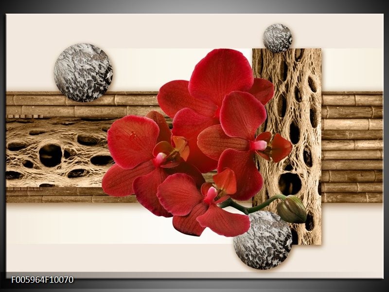 Foto canvas schilderij Orchidee | Rood, Bruin, Wit