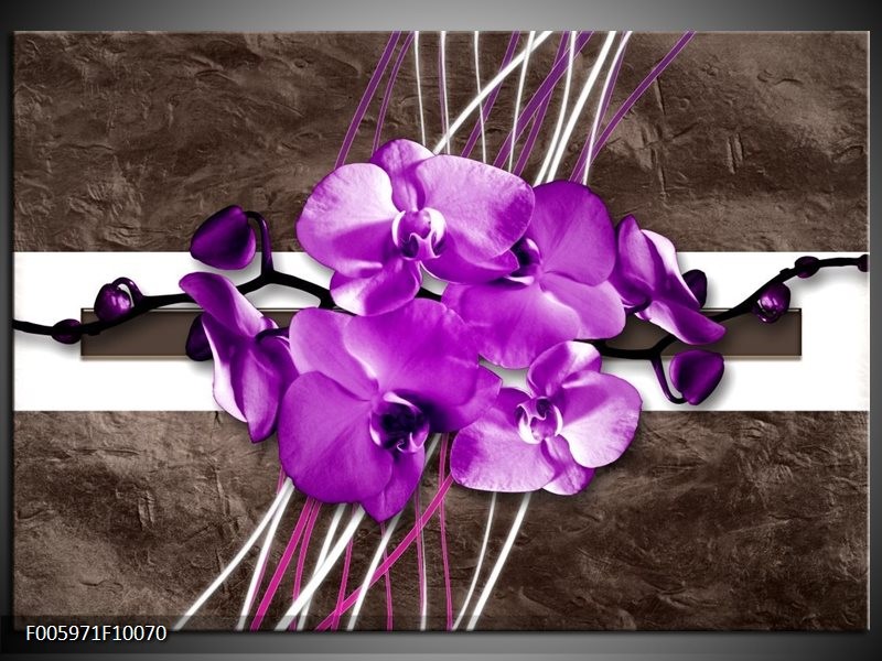 Foto canvas schilderij Orchidee | Paars, Grijs, Wit