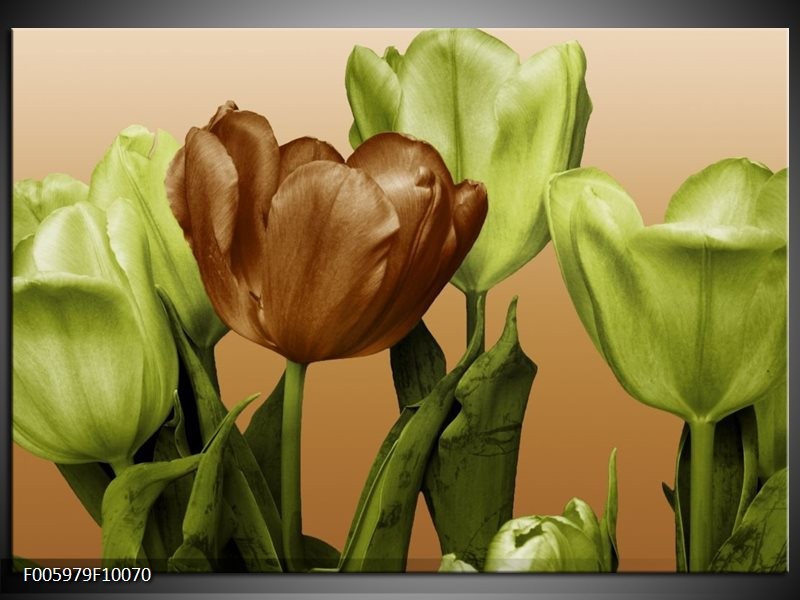 Foto canvas schilderij Tulp | Groen, Bruin, Wit