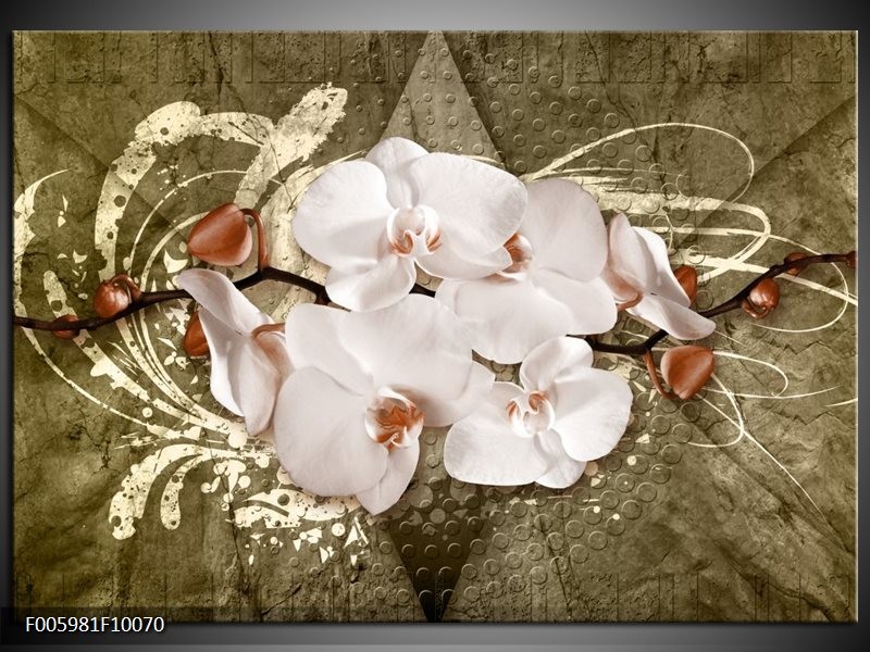 Foto canvas schilderij Orchidee | Goud, Wit, Bruin