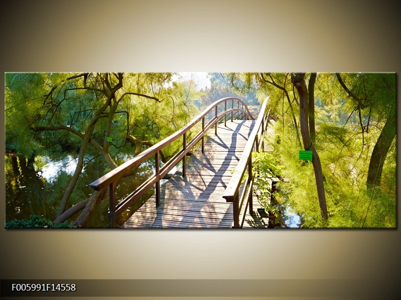 OP VOORRAAD Foto canvas schilderij Brug | 145x58cm | F005991