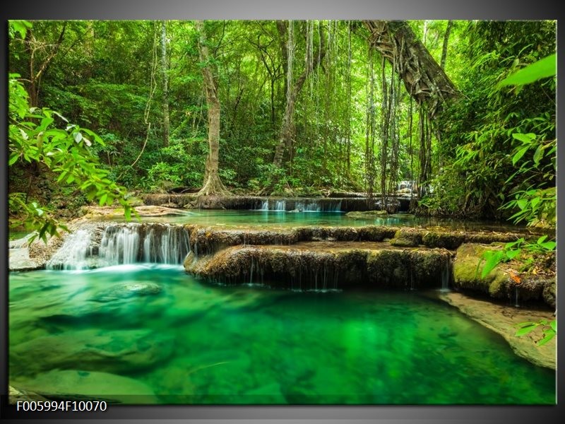 Foto canvas schilderij Natuur | Groen