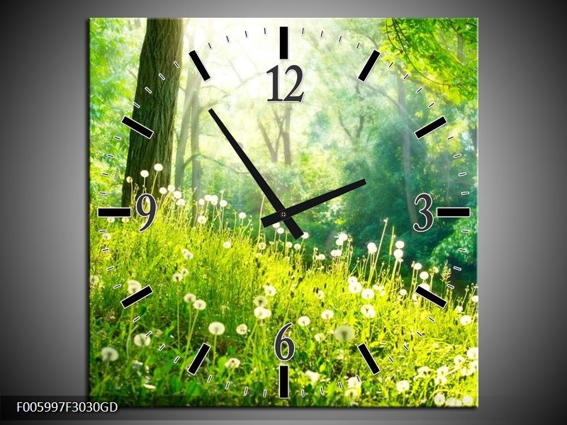 Wandklok op Glas Natuur | Kleur: Groen | F005997CGD