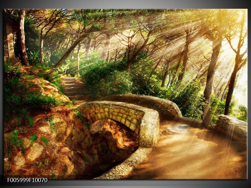 Glas schilderij Natuur | Bruin, Groen