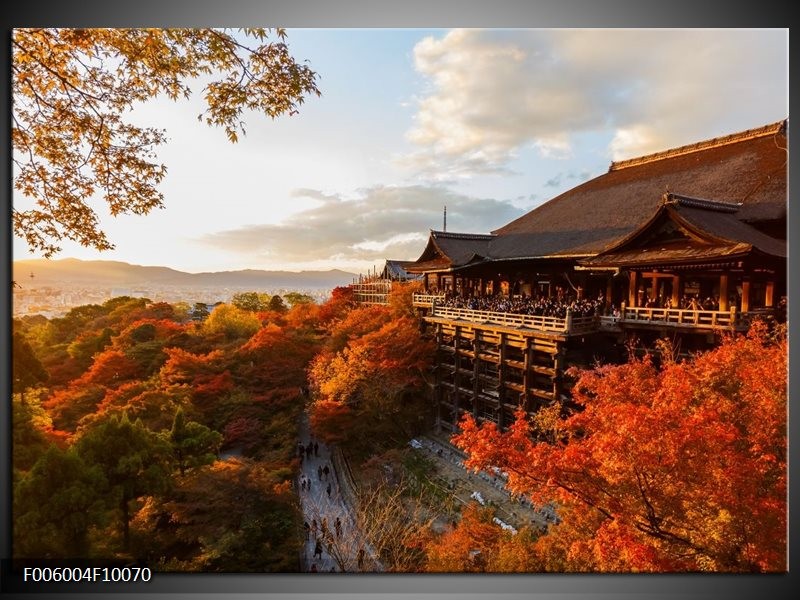 Glas schilderij Natuur | Bruin, Grijs