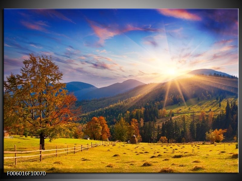 Foto canvas schilderij Natuur | Bruin, Geel, Blauw