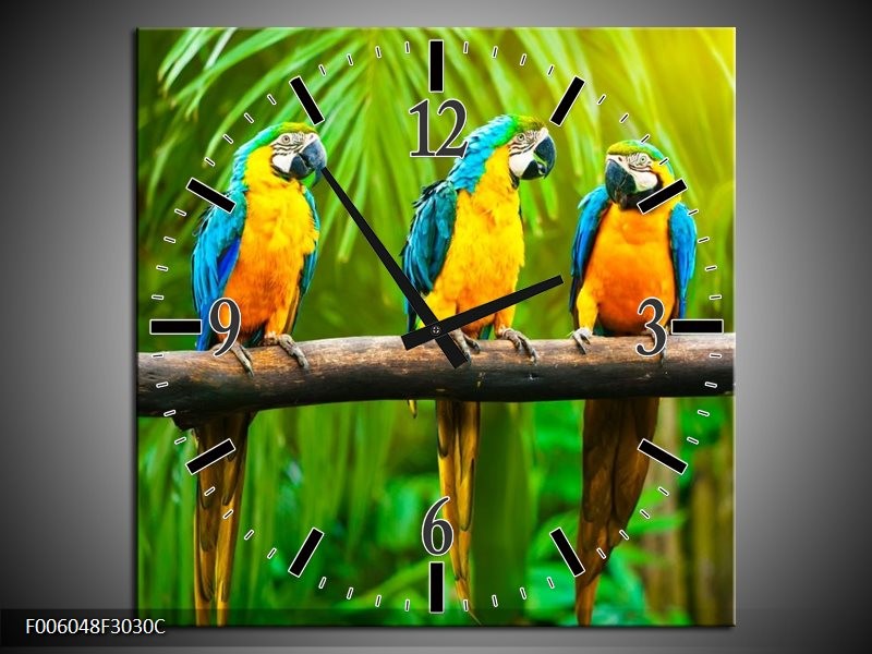 Wandklok op Canvas Vogels | Kleur: Groen, Oranje, Blauw | F006048C