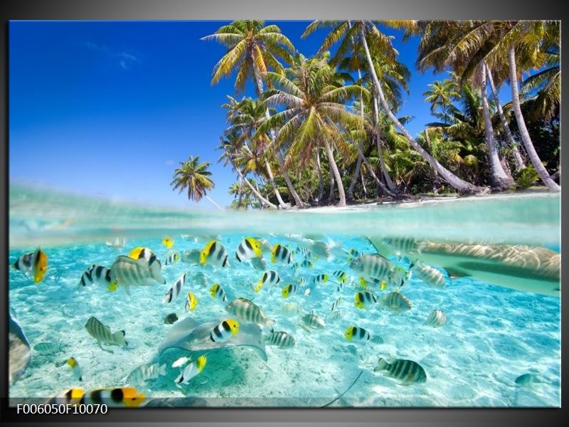 Foto canvas schilderij Natuur | Blauw, Groen
