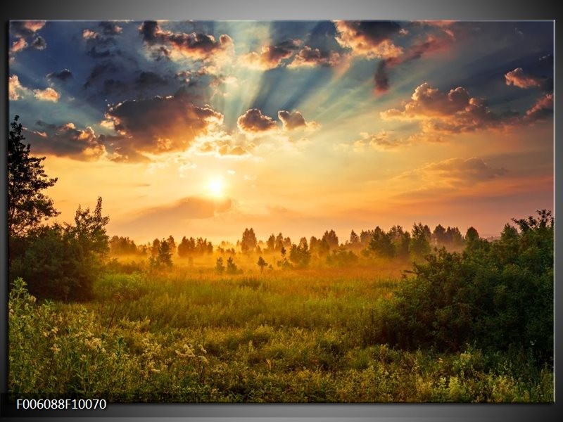 Foto canvas schilderij Natuur | Bruin, Groen