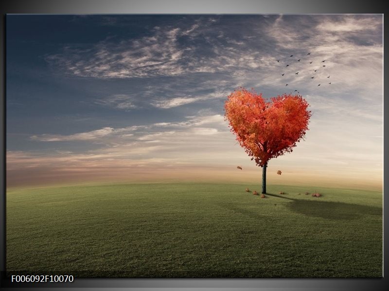 Foto canvas schilderij Natuur | Oranje, Groen, Grijs