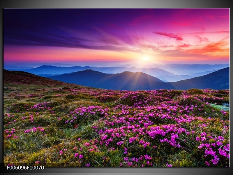 Foto canvas schilderij Natuur | Paars, Roze, Blauw