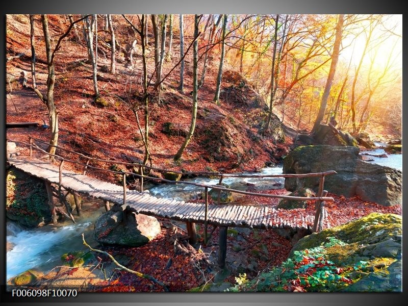 Foto canvas schilderij Herfst | Geel, Bruin