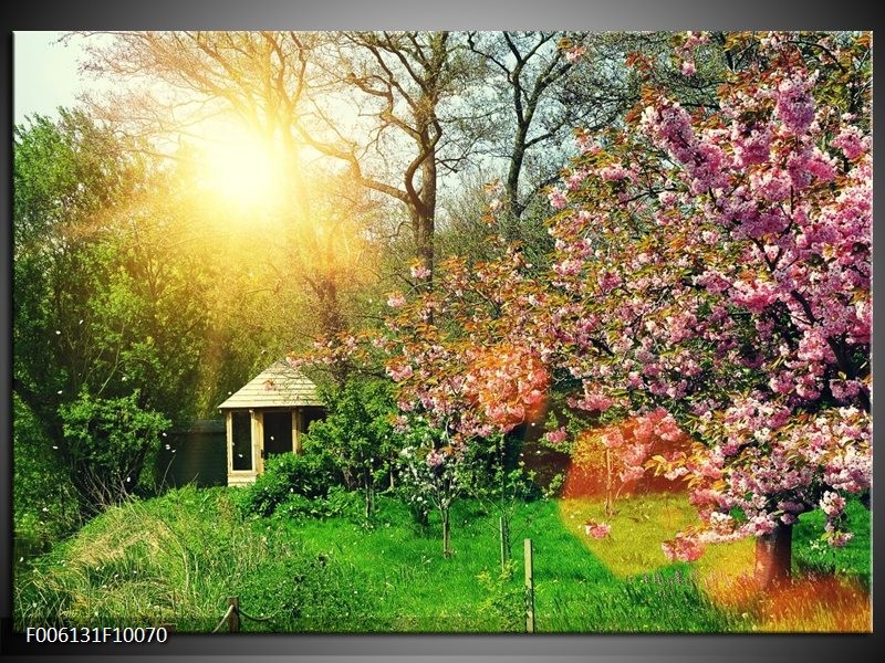 Foto canvas schilderij Natuur | Groen, Paars