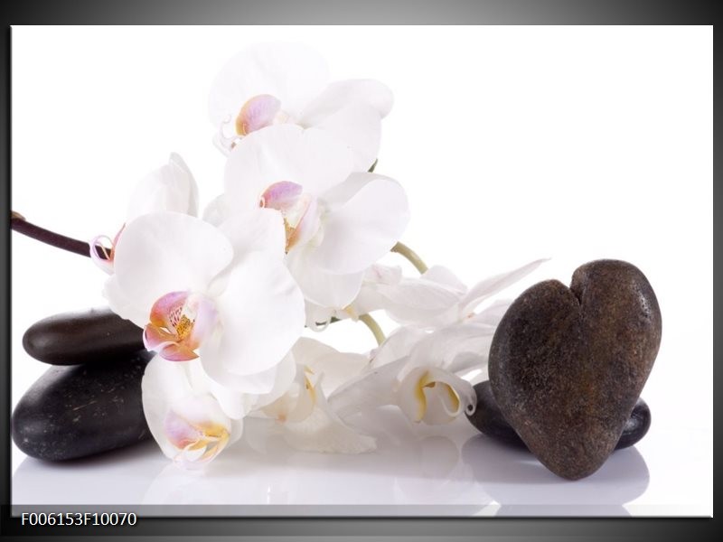 Glas schilderij Orchidee | Wit, Zwart