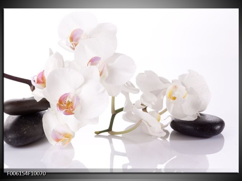 Foto canvas schilderij Orchidee | Wit, Zwart