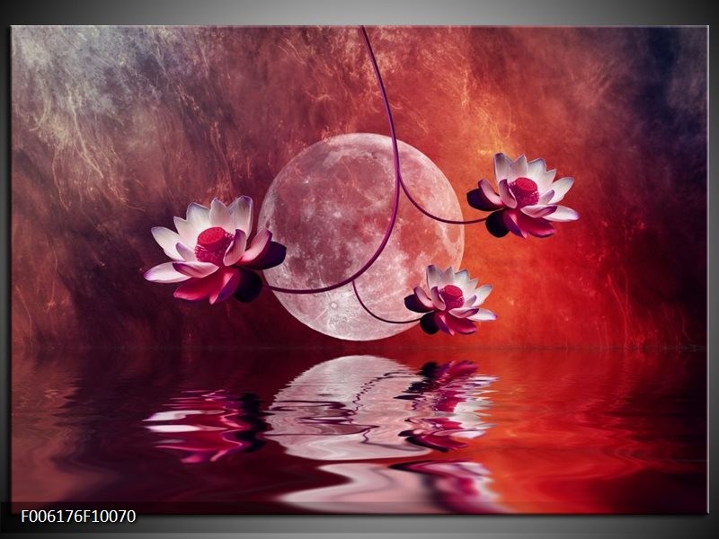 Glas schilderij Modern | Rood, Paars, Roze