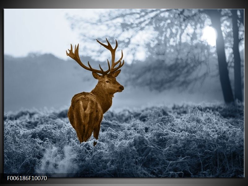 Foto canvas schilderij Hert | Bruin, Blauw, Grijs