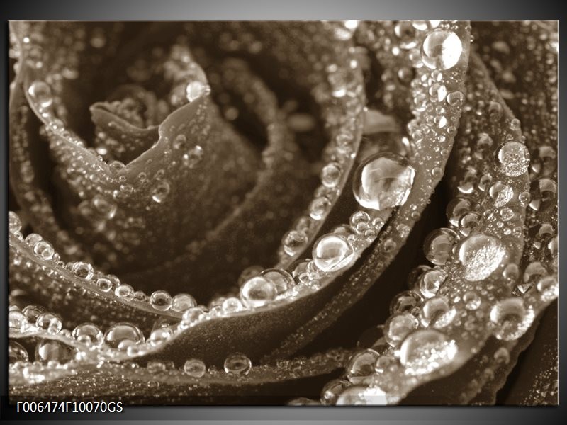 Glas Schilderij Bloem, | Sepia