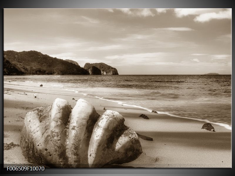 Canvas Schilderij Schelp, Strand | Sepia