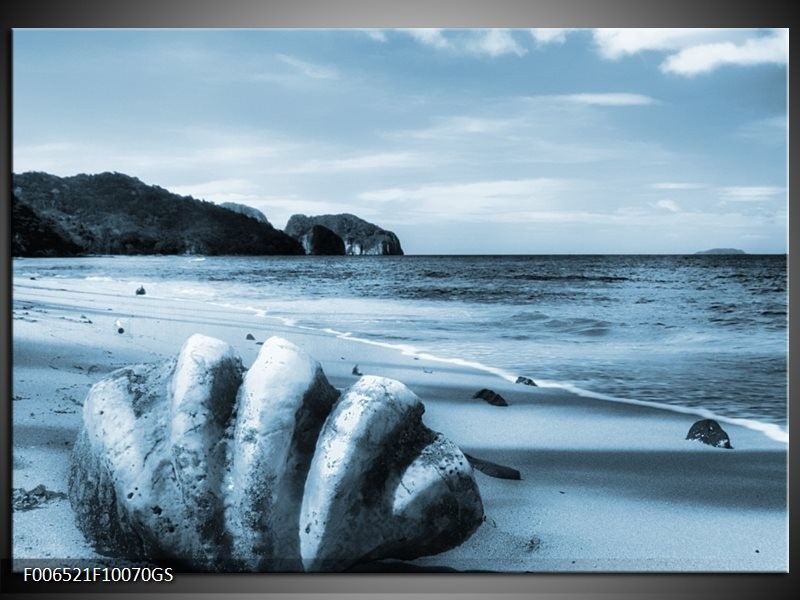 Glas Schilderij Schelp, Strand | Blauw