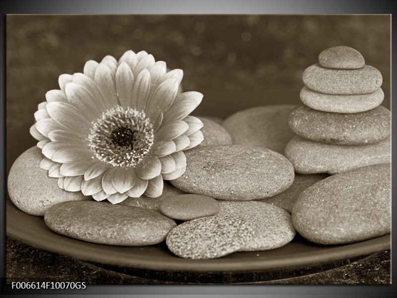 Glas Schilderij Bloem, Stenen | Sepia