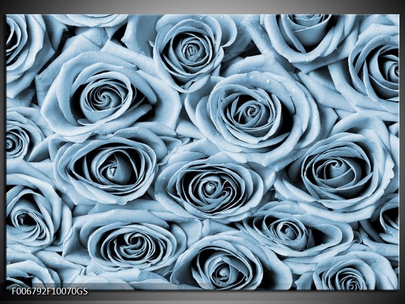 Glas Schilderij Bloemen, Roos | Blauw, Grijs