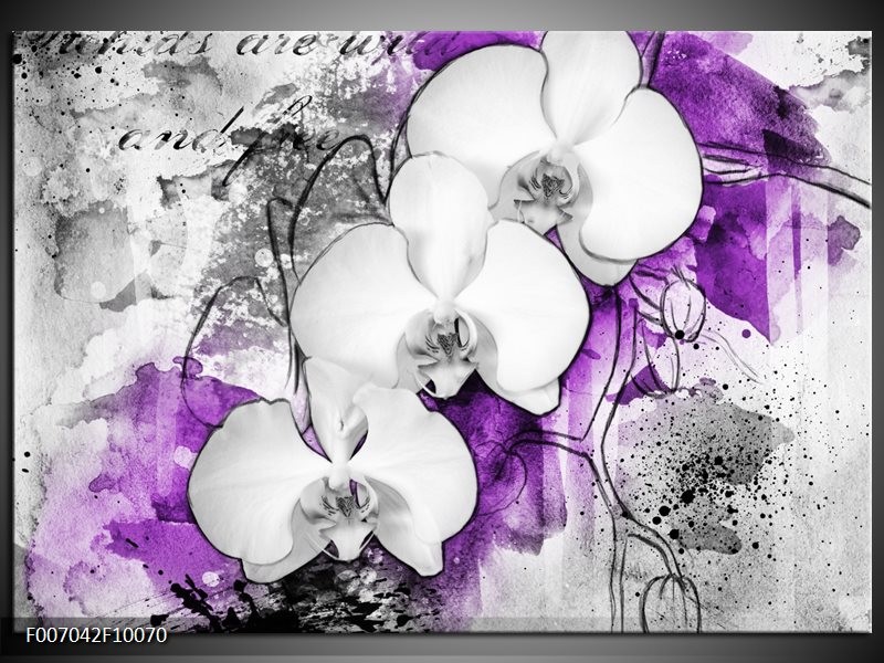 Canvas Schilderij Bloem, Orchidee | Grijs, Paars, Wit